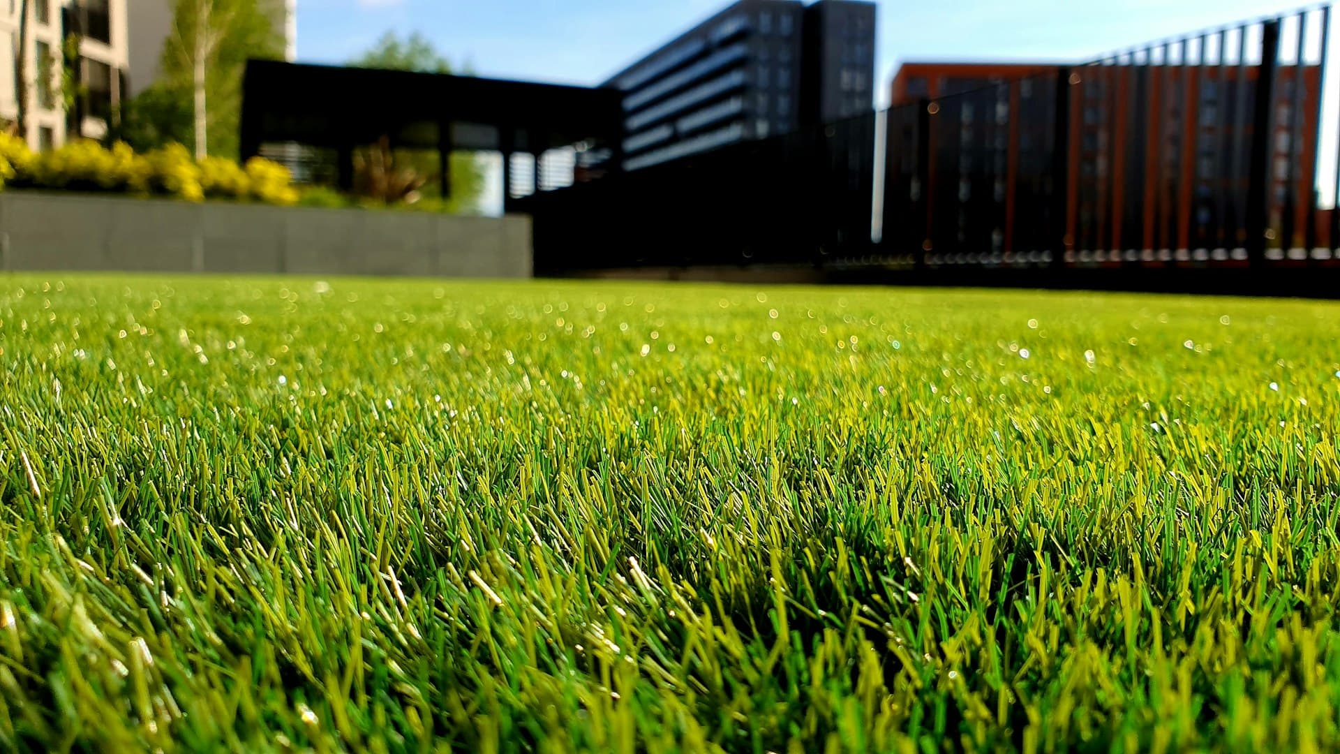 Beautiful landscaped yard