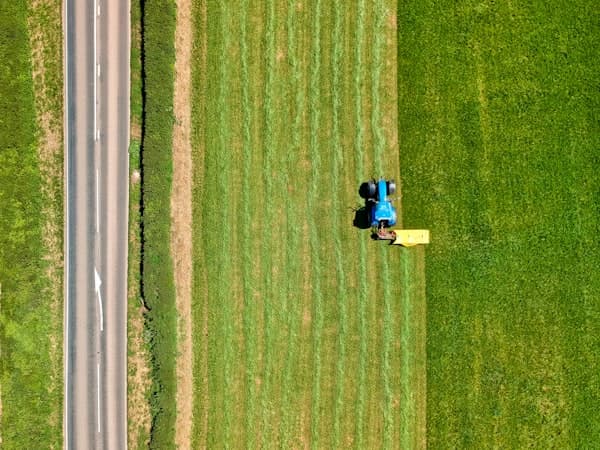 Yard Maintenance